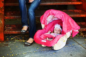 Minky Whole Caboodle Baby Car Seat Cover Kit